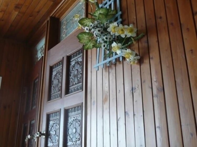 Springflower Guesthouse   Hostel