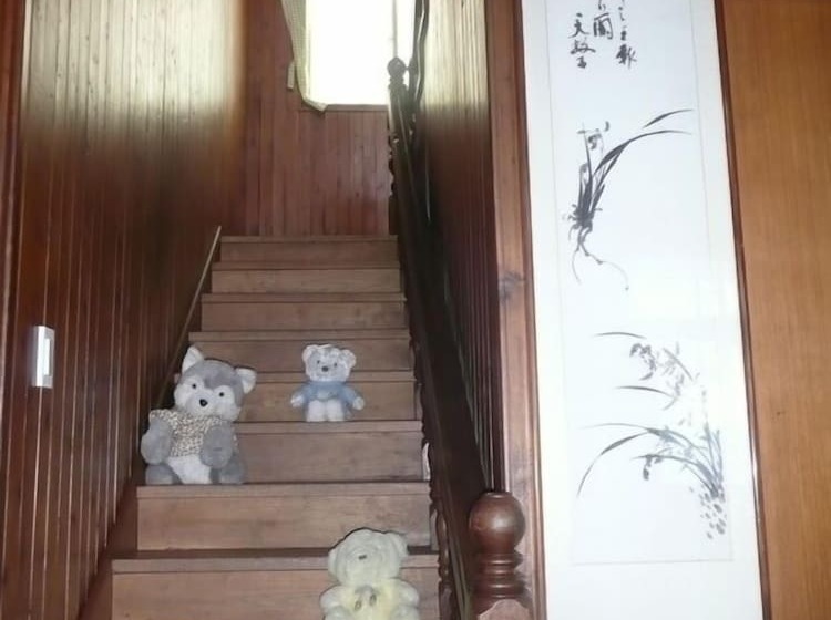 Springflower Guesthouse   Hostel