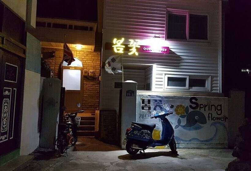 Springflower Guesthouse   Hostel