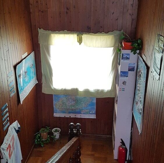 Springflower Guesthouse   Hostel