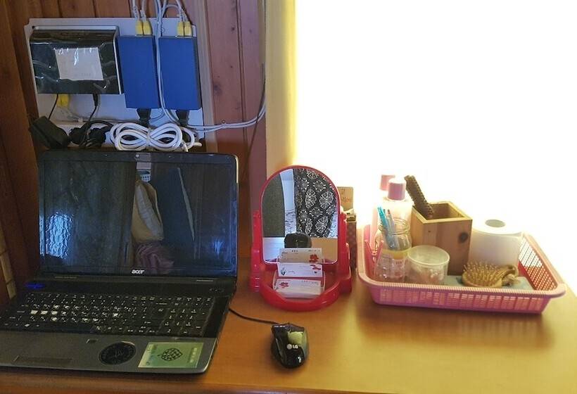 Springflower Guesthouse   Hostel