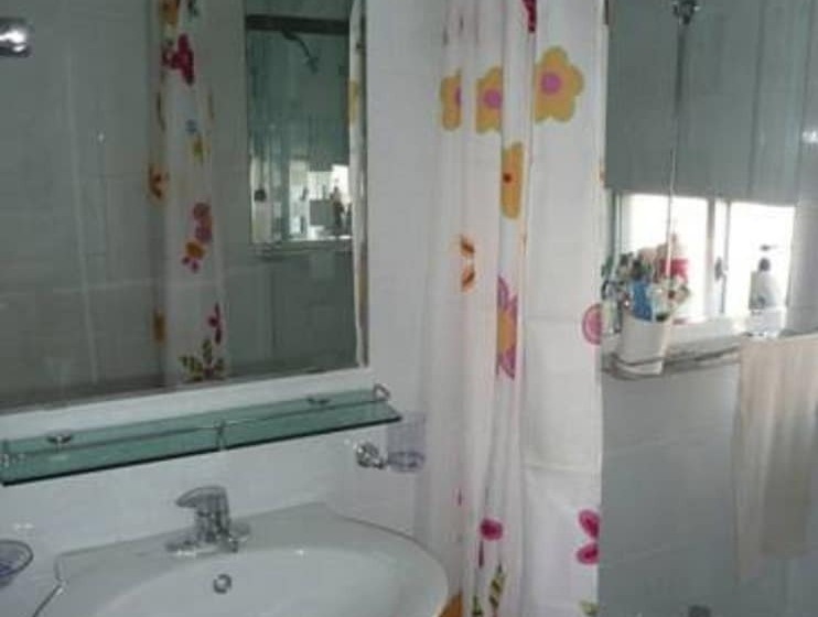 Springflower Guesthouse   Hostel