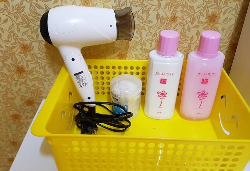 Springflower Guesthouse   Hostel