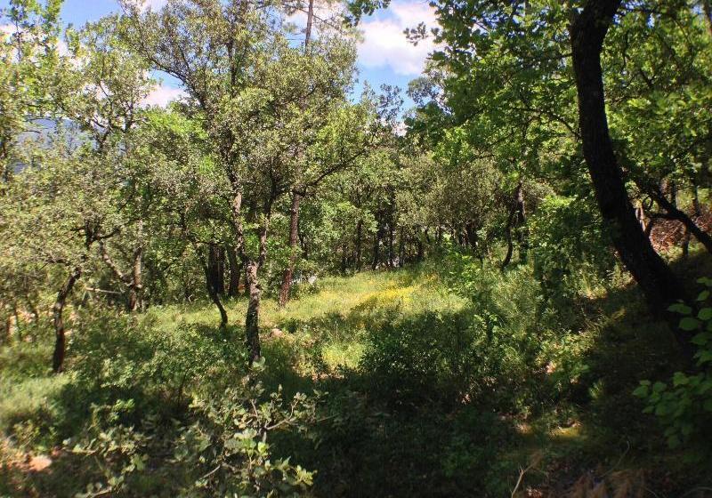 Bed and Breakfast Les Maquinols Estate