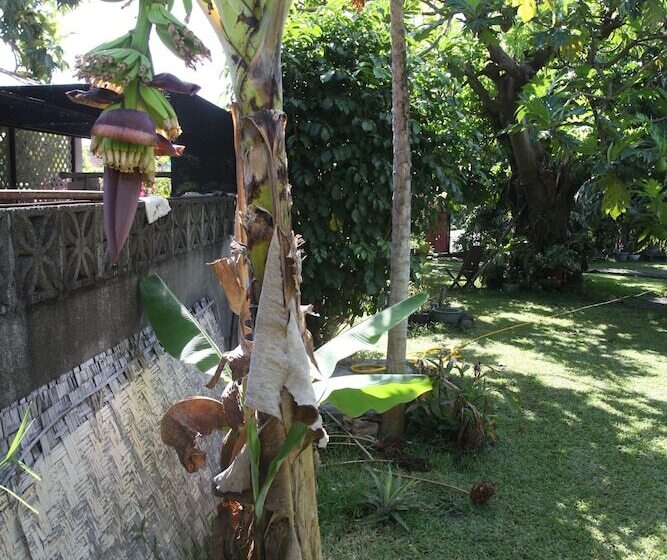 مبيت وإفطار Marama Lodge Tahiti