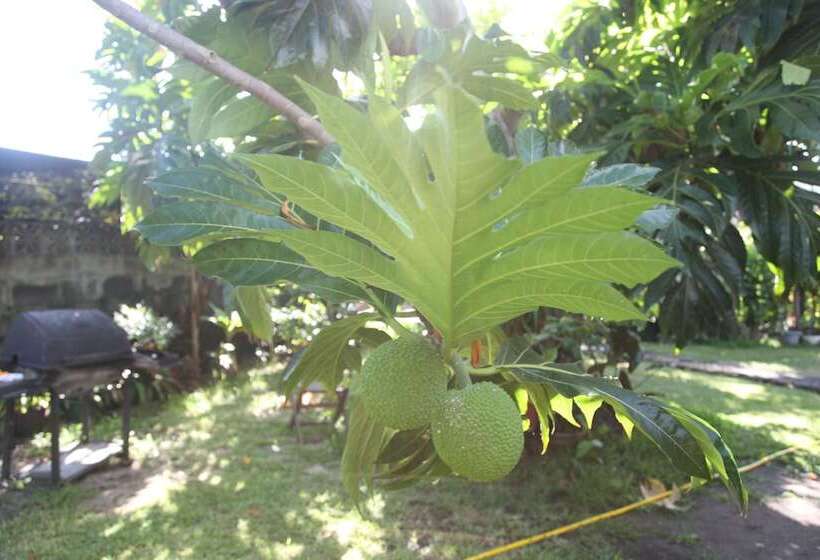 مبيت وإفطار Marama Lodge Tahiti