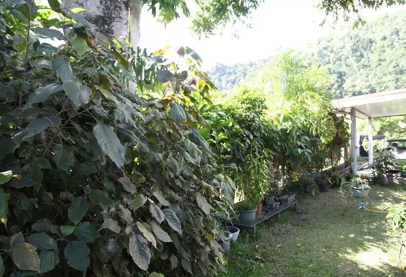 تختخواب و صبحانه Marama Lodge Tahiti