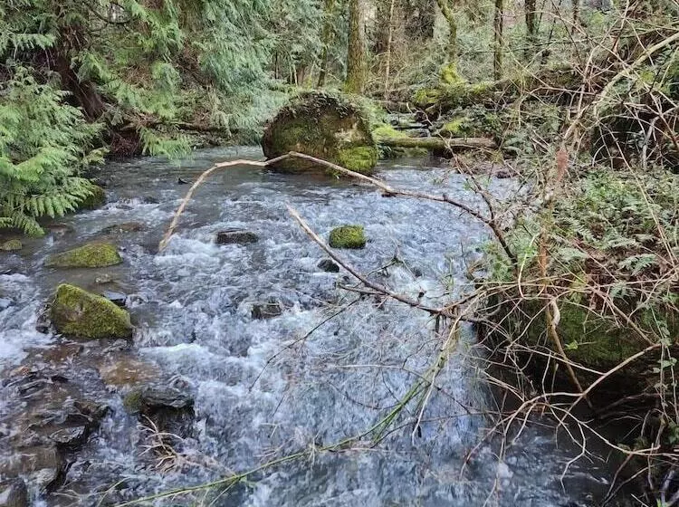 Aamiaismajoitus (B&B) Scott Creek Farm