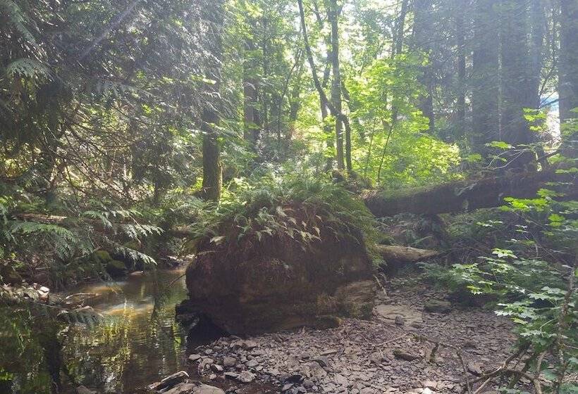 Bed and Breakfast Scott Creek Farm