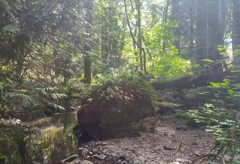 Aamiaismajoitus (B&B) Scott Creek Farm