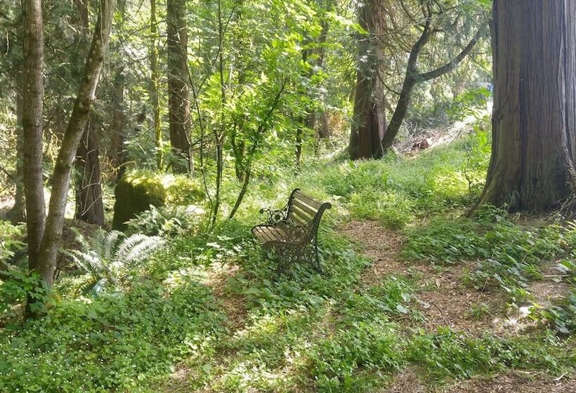 Bed and Breakfast Scott Creek Farm