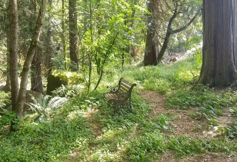 Aamiaismajoitus (B&B) Scott Creek Farm