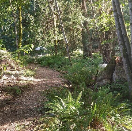 Bed and Breakfast Scott Creek Farm