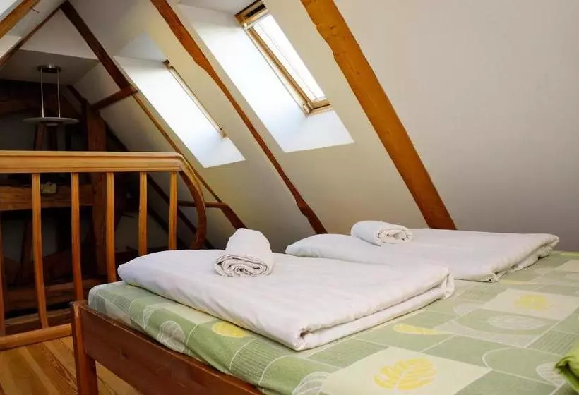 Doma Hostel