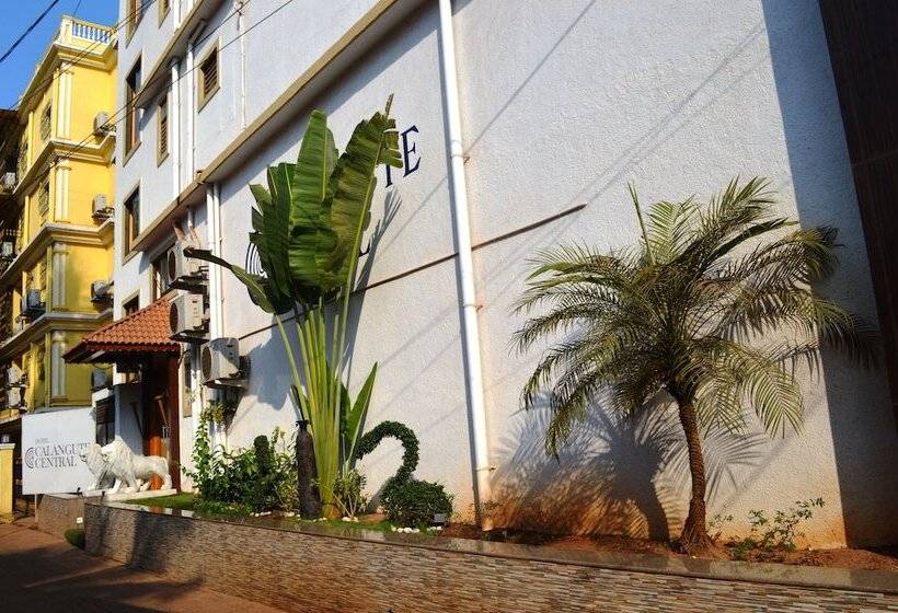 酒店 Calangute Central