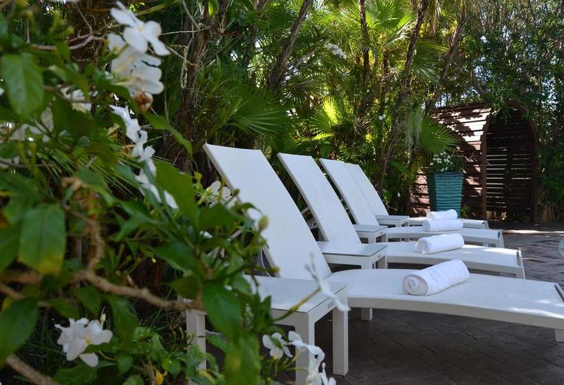 فندق Lush Royale a North Beach Village Resort - Gay Men Only