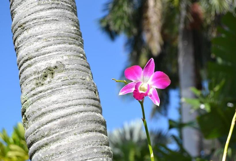 فندق Lush Royale a North Beach Village Resort - Gay Men Only