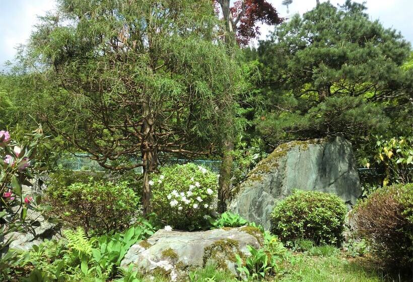 Ryokan Onsen Minshuku Sakaeya