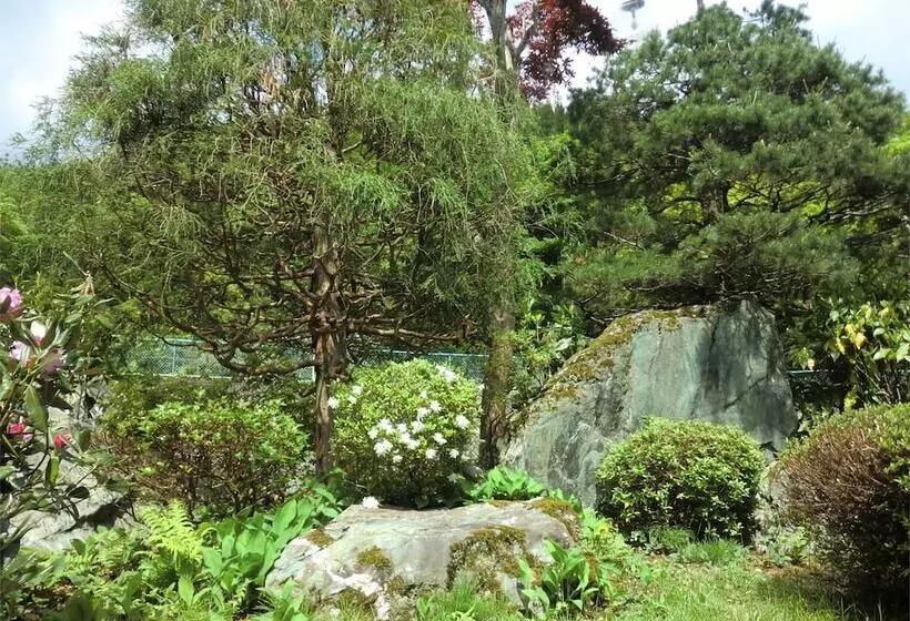 Ryokan Onsen Minshuku Sakaeya