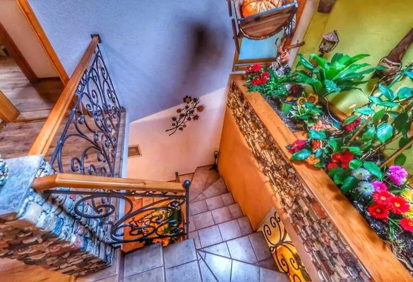 هاستل Pansion Bubamara Mostar