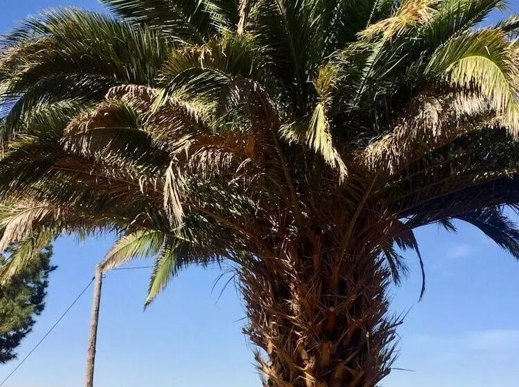 Hae Bed And Breakfast