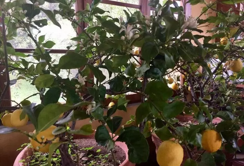 Hotelli Agriturismo La Palazzina