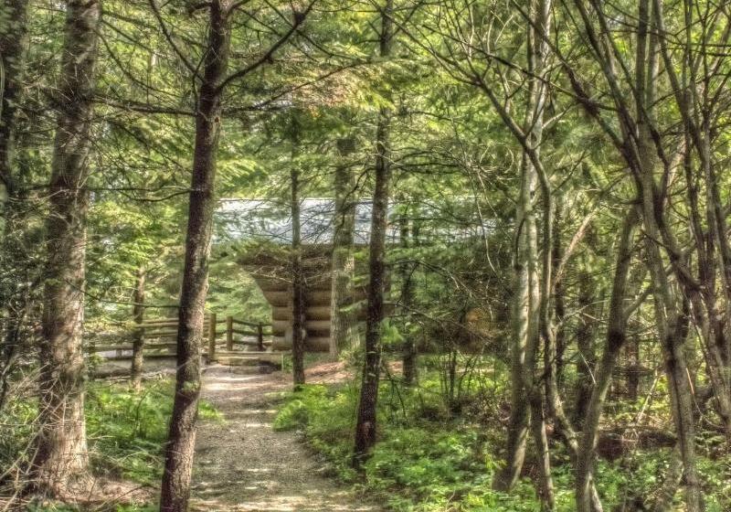 酒店 Log Inn Bonners Ferry