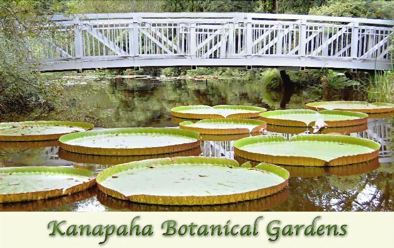 Hotel Fairfield Inn & Suites By Marriott Gainesville I 75