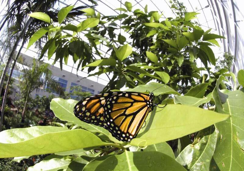 Hotel Fairfield Inn & Suites By Marriott Gainesville I 75