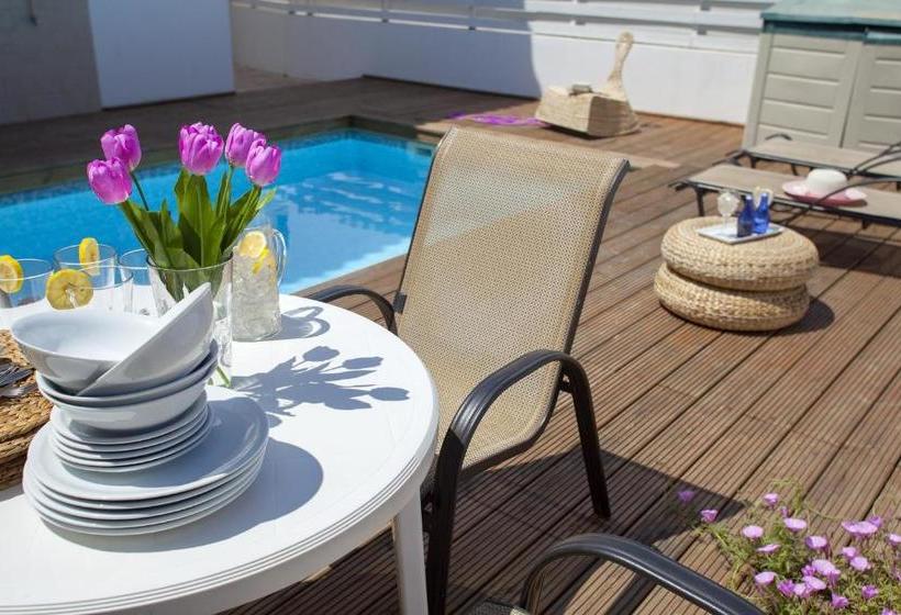 فندق Villa Daffodil