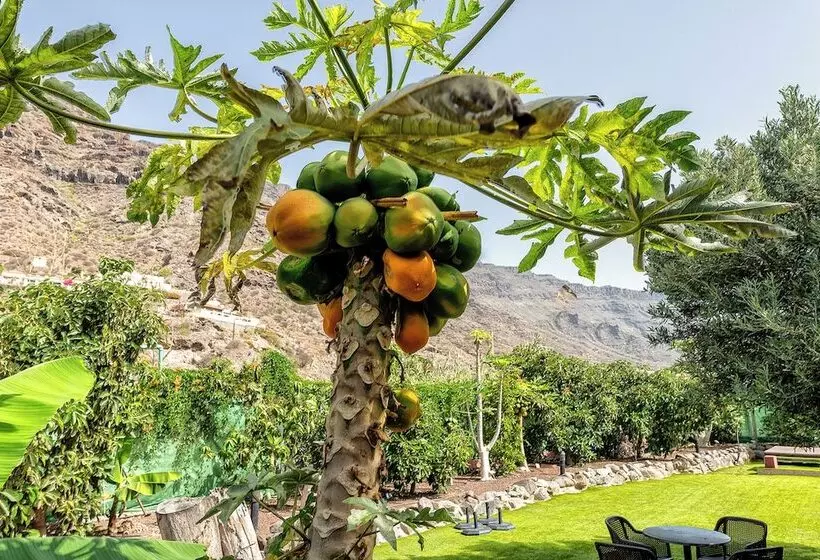 Sol Mogan Suites - Adults Only