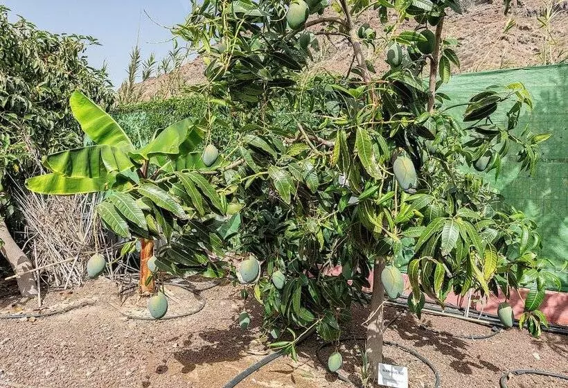 Sol Mogan Suites - Adults Only