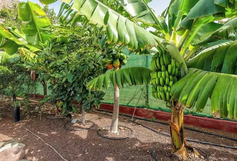 Sol Mogan Suites - Adults Only