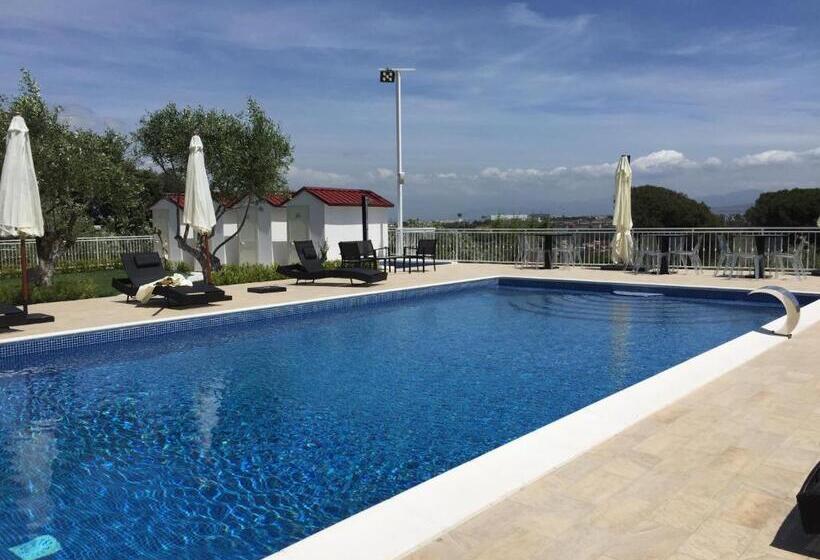 Zia Bi Bed And Breakfast