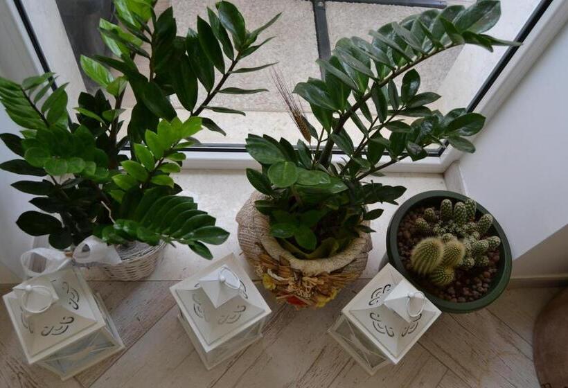 Bed And Breakfast Sun Wine