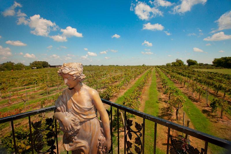 Отель Holiday Inn Express & Suites Bryan   College Station, An Ihg