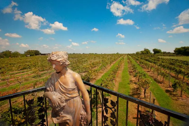 Hotelli Holiday Inn Express & Suites Bryan   College Station, An Ihg