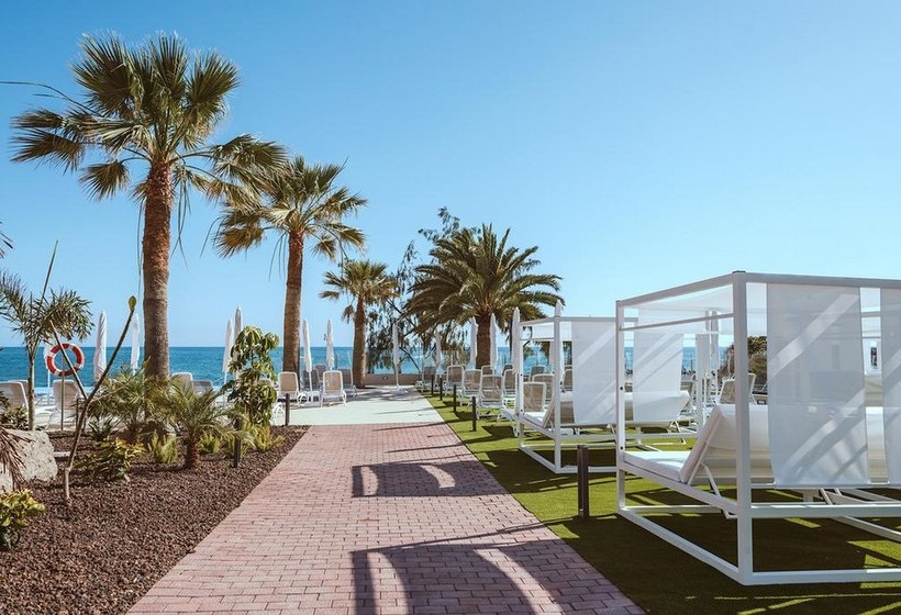 Cordial Muelle Viejo