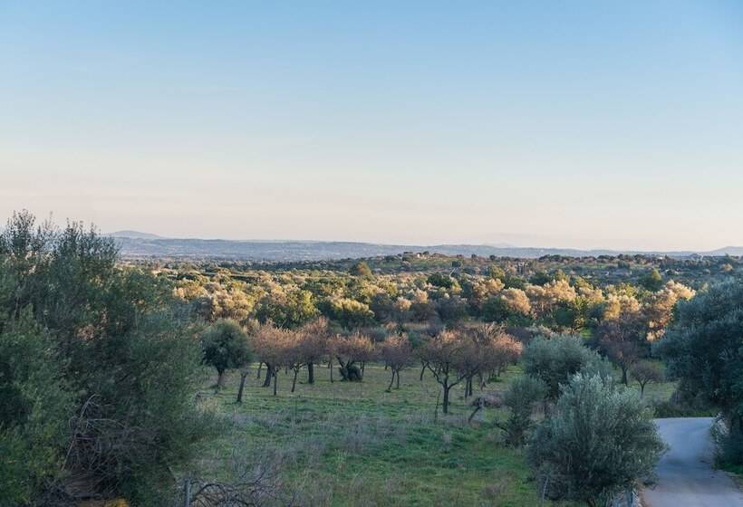 New Can Furios Hotel By Can Calco Hotels