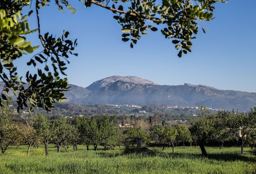 New Can Furios Hotel By Can Calco Hotels