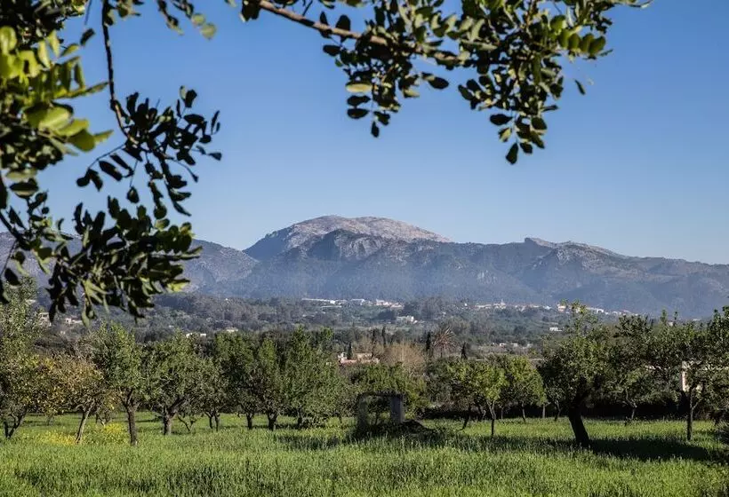 New Can Furios Hotel By Can Calco Hotels