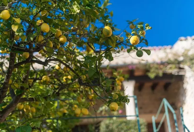 New Can Furios Hotel By Can Calco Hotels