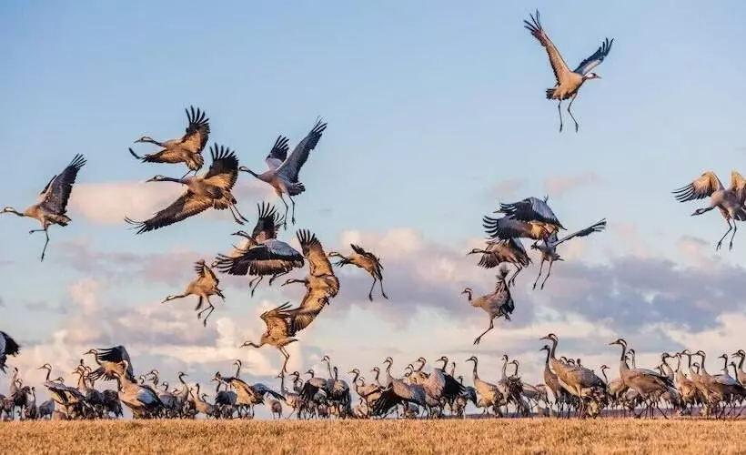 Järnvägshotellet B&b Skara