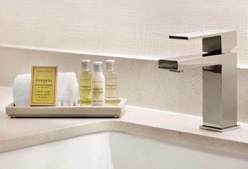 Hotel Doubletree By Hilton Mclean Tysons