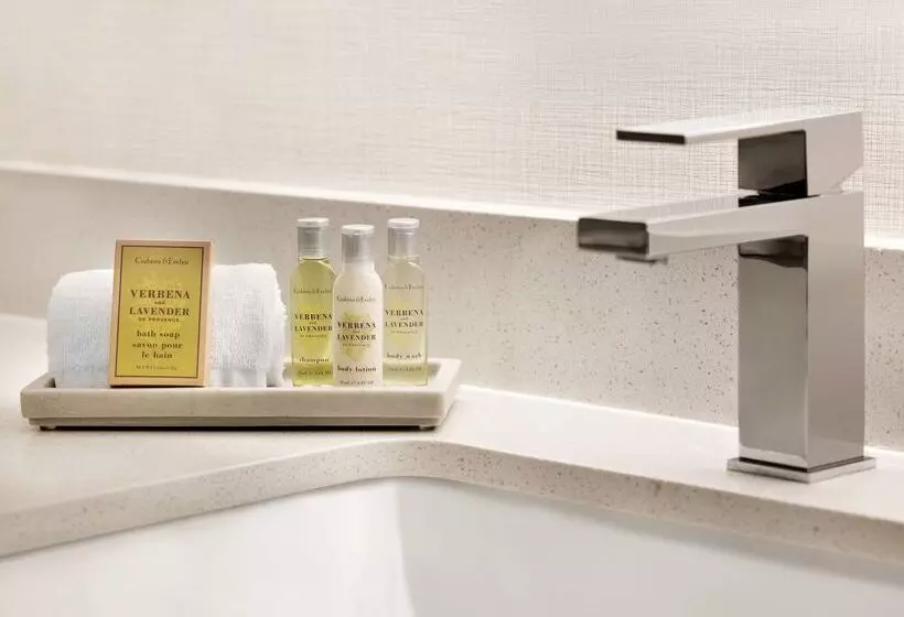 ホテル Doubletree By Hilton Mclean Tysons