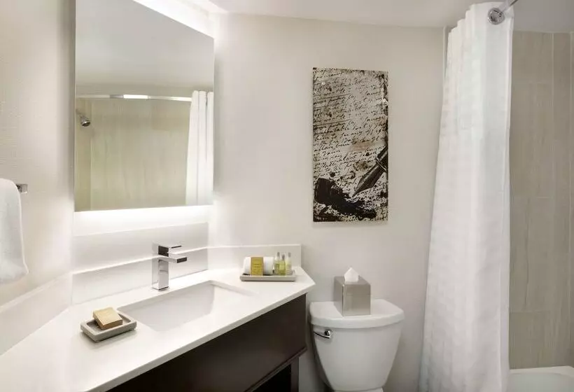 ホテル Doubletree By Hilton Mclean Tysons