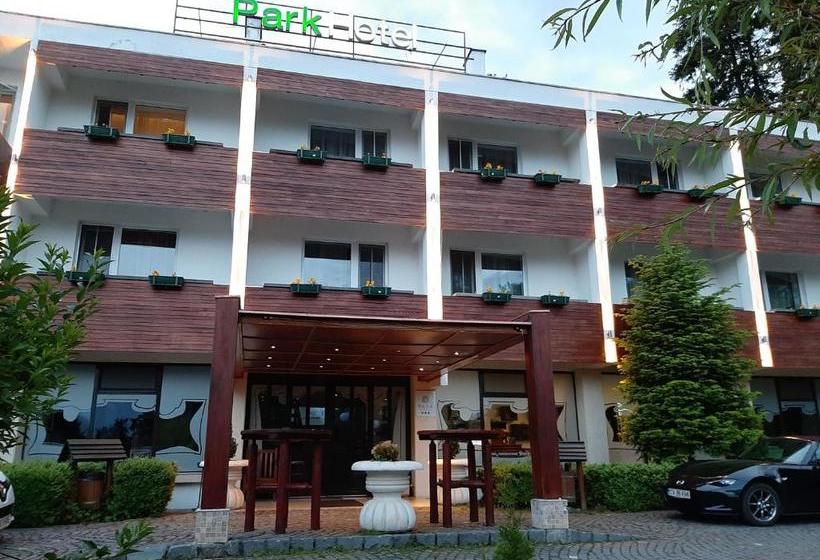 هتل Park Sfantu Gheorghe