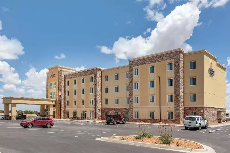 ホテル Comfort Inn & Suites