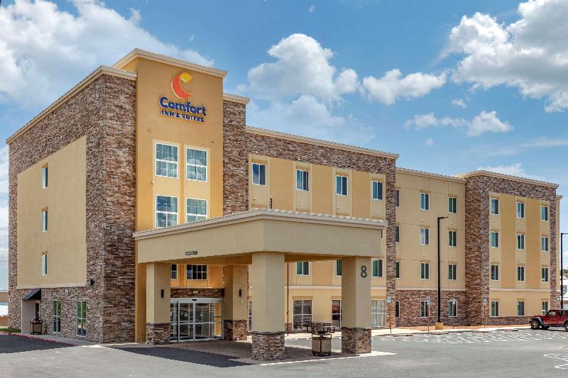 ホテル Comfort Inn & Suites