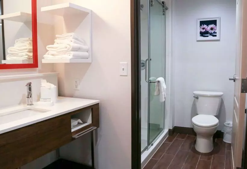 ホテル Hampton Inn & Suites Lafayette Medical Center, Co